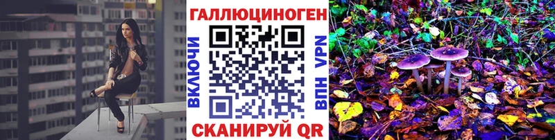 Галлюциногенные грибы GOLDEN TEACHER как найти закладки Торжок